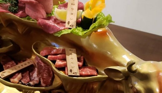 名古屋市中区の美味い焼肉、やきにくホルモン幸心